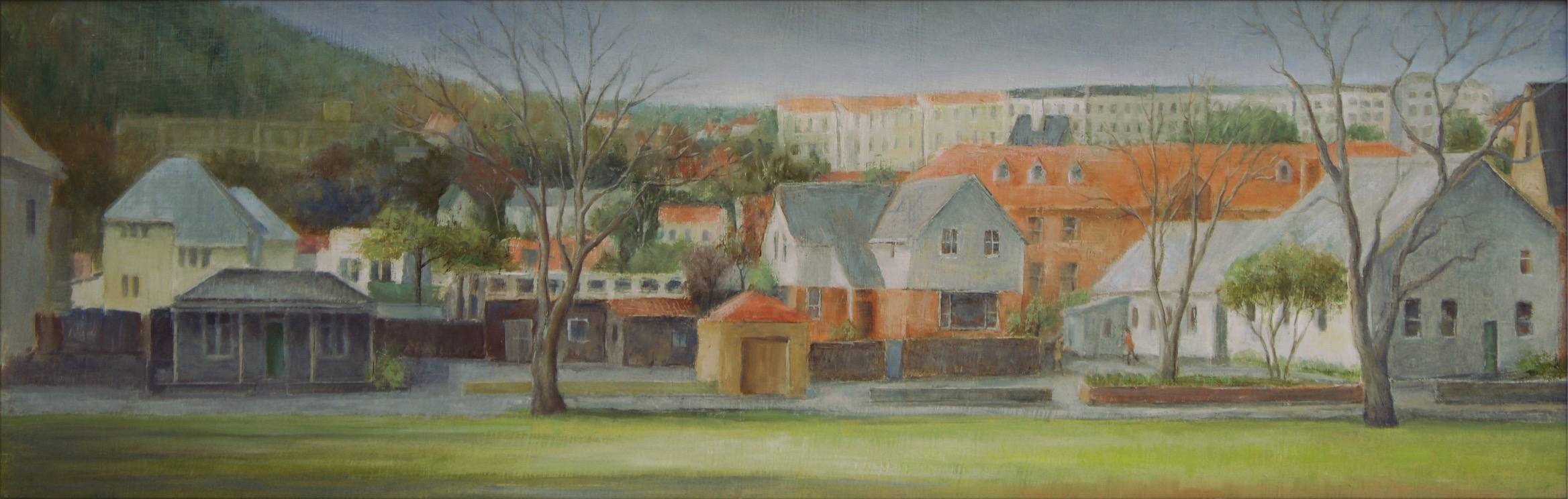 Houses, Dunedin North