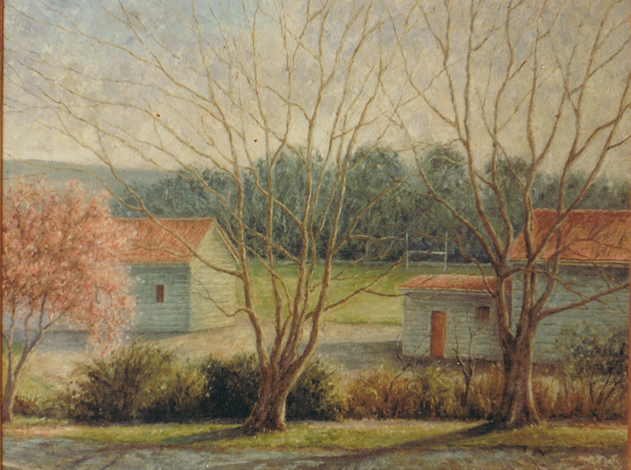 Kaikorai Scene