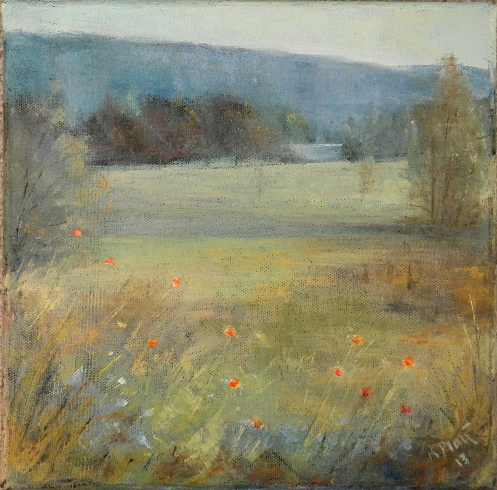 Wild Poppies